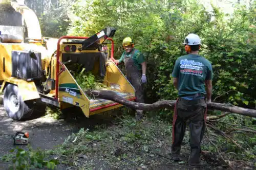 tree services Farmersburg